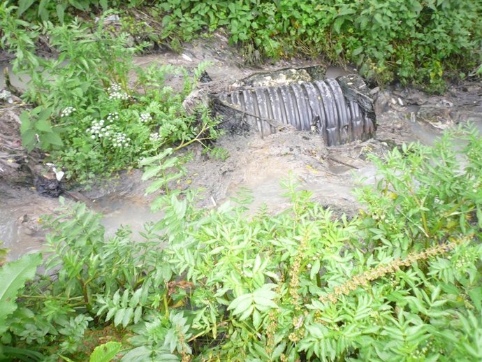 Rio Gafo En El Parque De Invierno De Oviedo