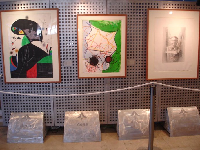 Colección De Obra Gráfica De La Fundación Aena