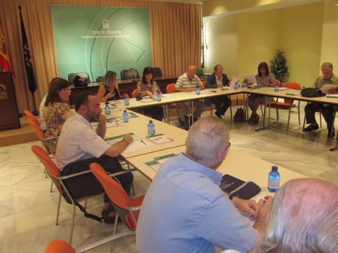 Micaela Navarro Preside El Pleno Del Consejo Andaluz De Mayores