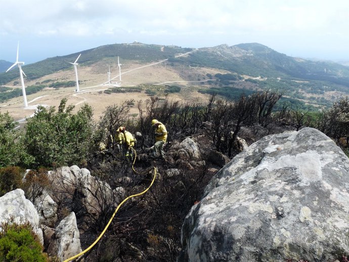 Incendio En Monte Ahumada, En Tarifa (Cádiz)