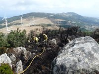 M.Junta y Fiscalía trabajarán conjuntamente para investigar incendios forestales intencionados