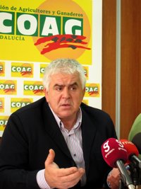 COAG, Asaja y UPA piden que UE incluya sandía, melón y frutos de hueso en compensaciones por la crisis del E.coli