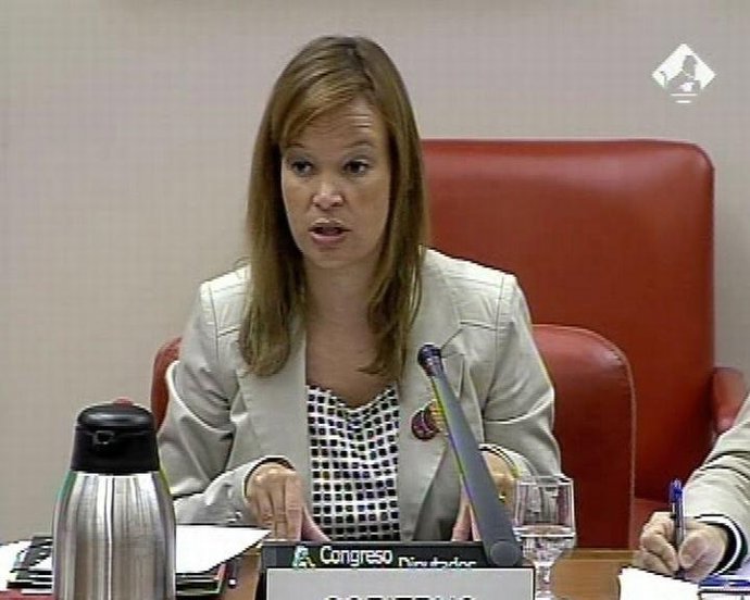 Leire Pajín En Congreso