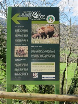 Senda Del Oso