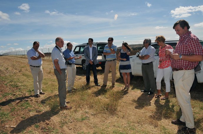 Un Momento De La Visita A La Zona De Cultivo Del Pistachero