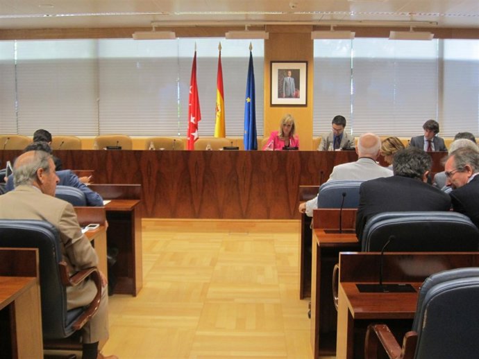 Comisión De Duplicidades De La Asamblea De Madrid