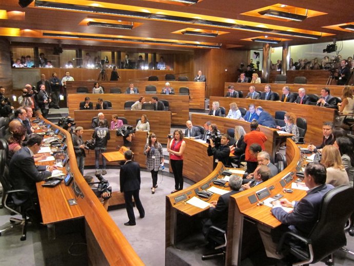 Pleno De La Junta General