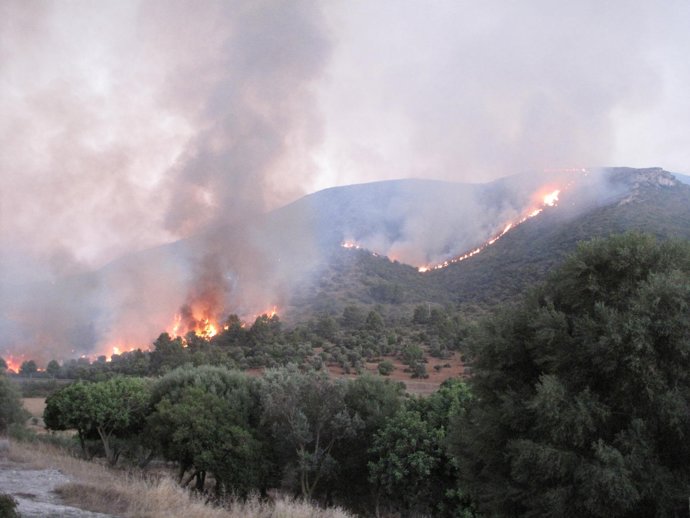 Imagen Del Incendio De Artà