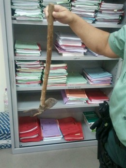 Agresión En Los Palacios