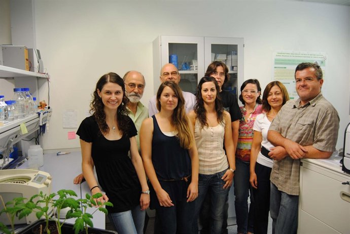 Investigadores Descubren Un Nuevo Antioxidante