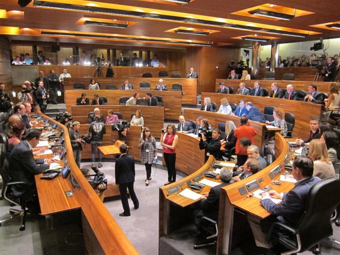 Pleno De La Junta General