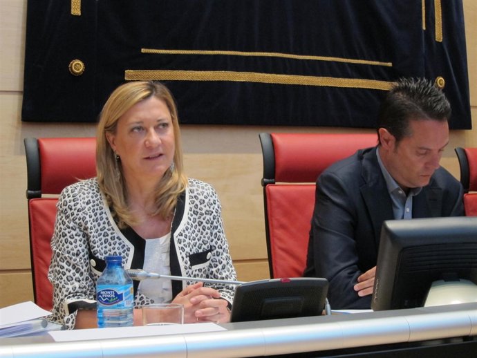 La Consejera De Hacienda, Pilar Del Olmo, Comparece En Las Cortes