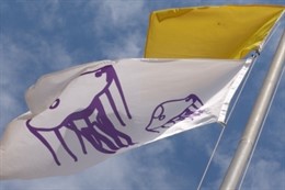 Bandera Avisando De La Presencia De Medusas En Las Playas