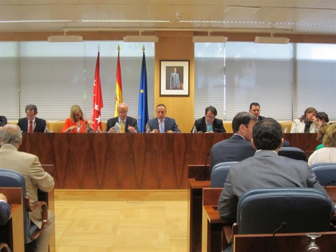 Diputación Permanente En La Asamblea De Madrid