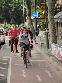Ciclistas En El Carril Bici De Avenidas 