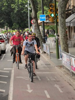 Ciclistas En El Carril Bici De Avenidas 