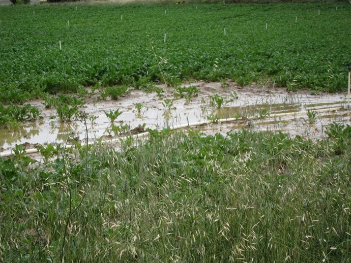 Imagen De Una Parcela De Regadío Afectada Por Una Tormenta
