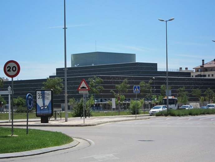 La Actuación Será En El Palacio De Congresos