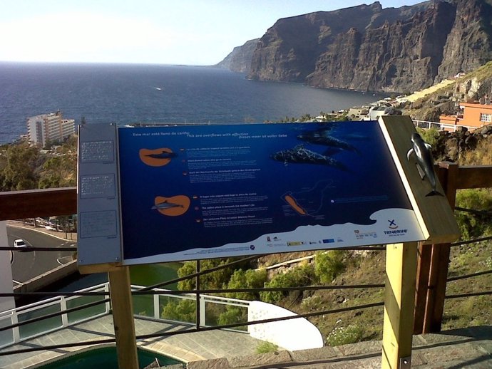 Panel De Avistamiento De Cetáceos En Tenerife