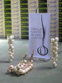 Cebollas Fuentes De Ebro