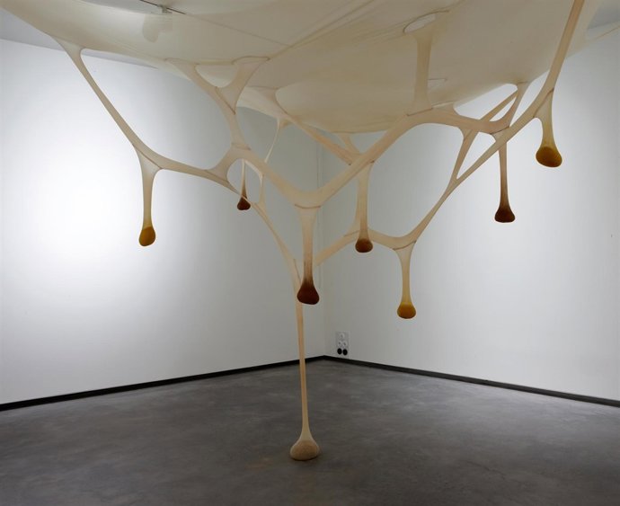 Planta Del Centro De Artes Visuales Fundación Helga De Alvear