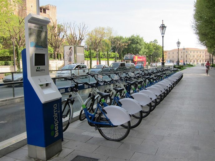 Anclajes De Bicipalma