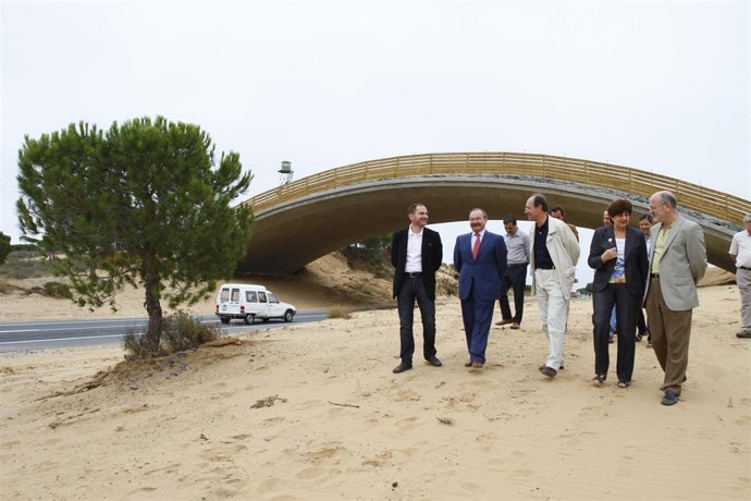 Cruz Y Díaz Trillo Visitan Dos Nuevos Ecoductos En La Carretera De Doñana.