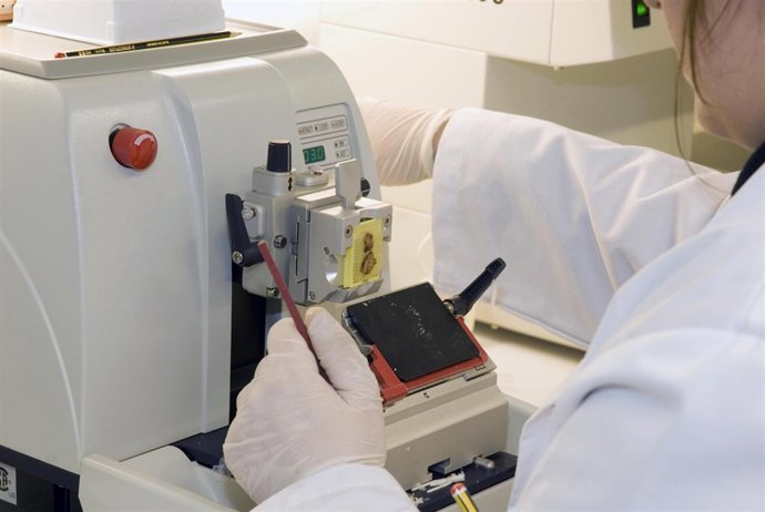 El Laboratorio Althia Colabora Con El Proyecto