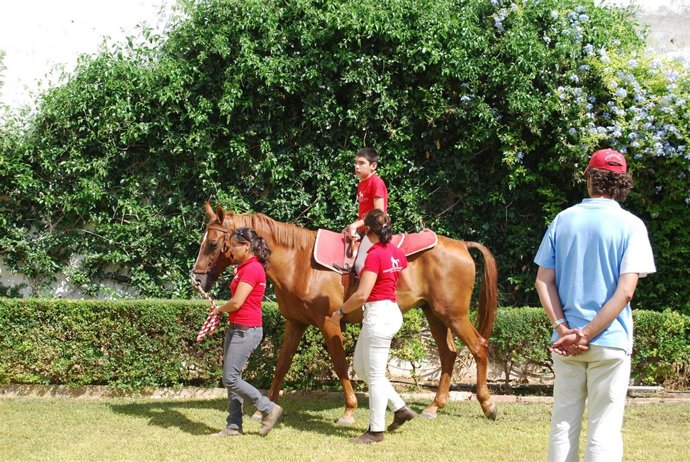 Curso De Hipoterapia En La Sede De La UPO