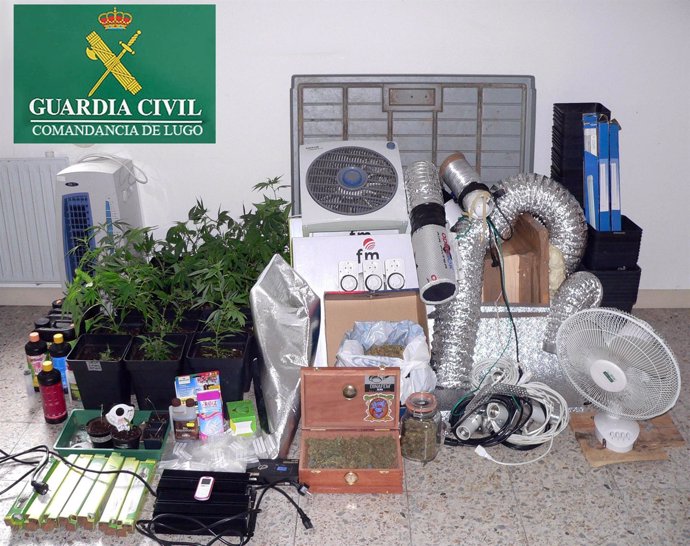 Material De Plantación De Marihuana En Xove (Lugo)