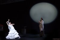 Junta publicará en próximos días la convocatoria para que  compañías presenten sus proyectos al Ballet Flamenco