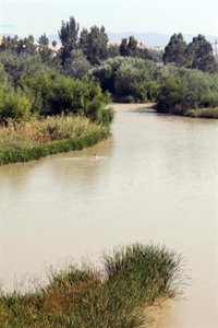 Organizaciones del regadío piden devolver el Guadalquivir a la CHG