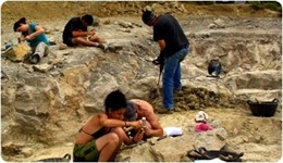 Excavación Arqueológico En El Yacimiento De Basturs (Lleida)