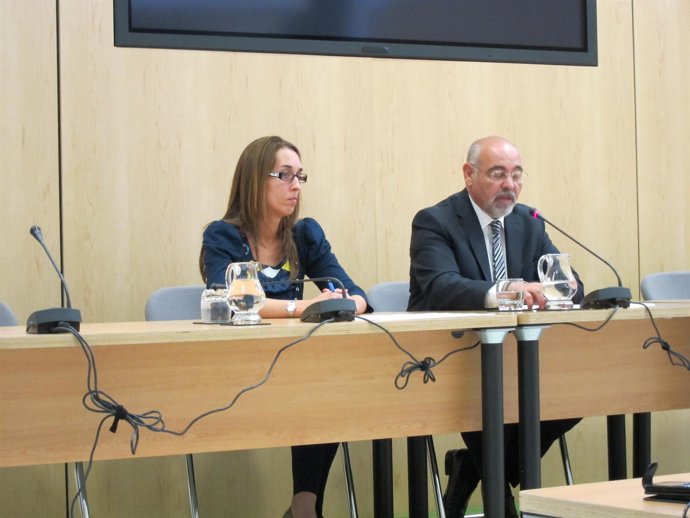 Los Parlamentarios Del PSE Natalia Rojo Y Jose Antonio Pastor