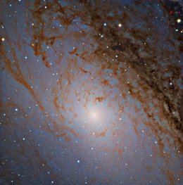Región Central De La Galaxia Andrómeda Fotografiada Con Telescopio De Calar Alto
