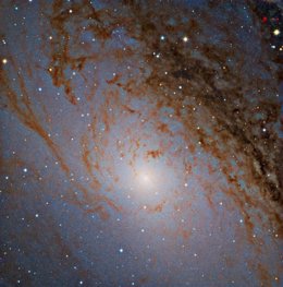 Región Central De La Galaxia Andrómeda Fotografiada Con Telescopio De Calar Alto
