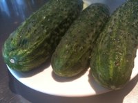 Junta espera conocer este jueves el reparto de los 210 millones por la E.coli y pagar "cuanto antes" al sector