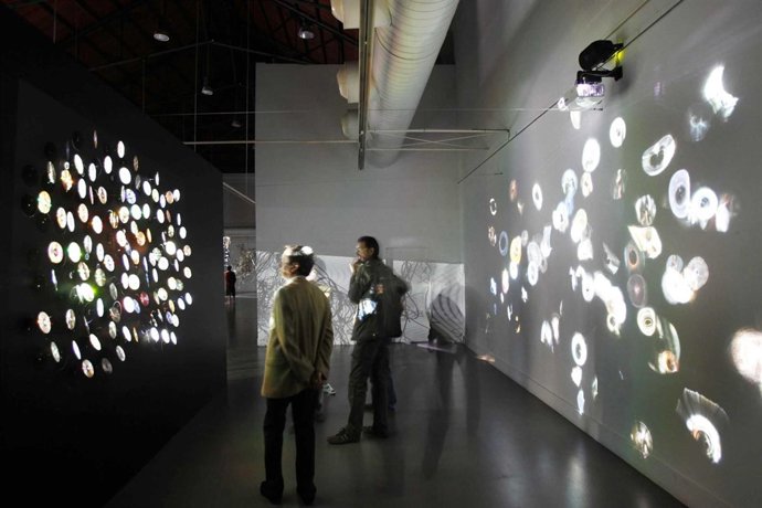 Imagen De La Muestra