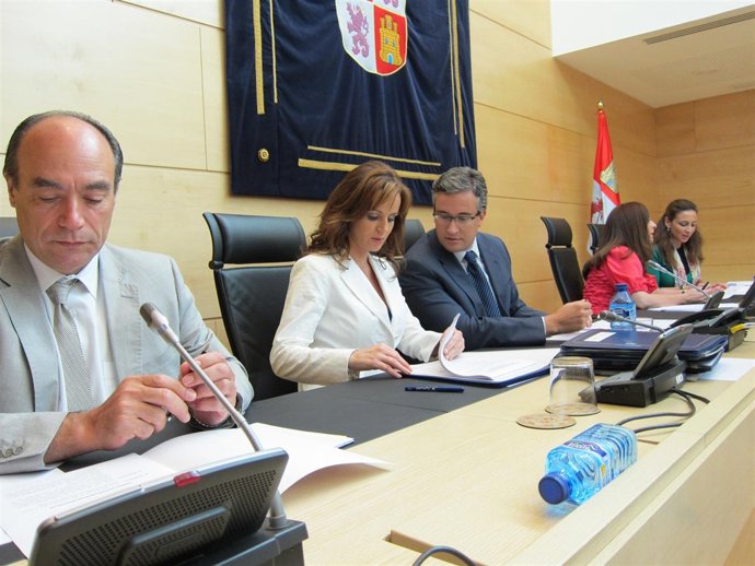 Clemente En La Comisión De Las Cortes