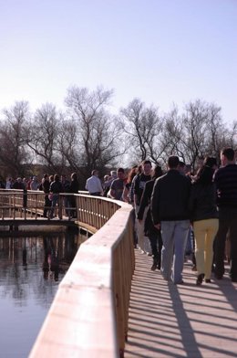 Turistas En Las Tablas De Daimiel