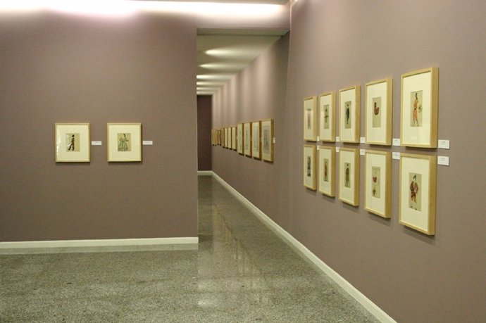 Exposición De Picasso En Gandia
