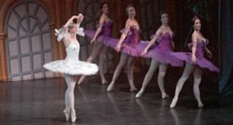 Ballet De Moscú