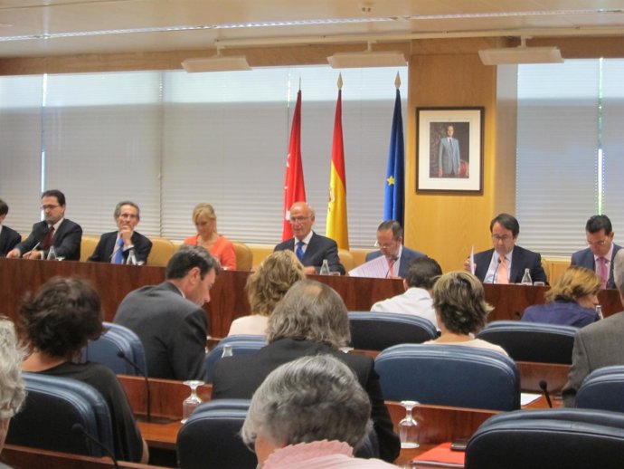 Diputación Permanente De La Asamblea De Madrid