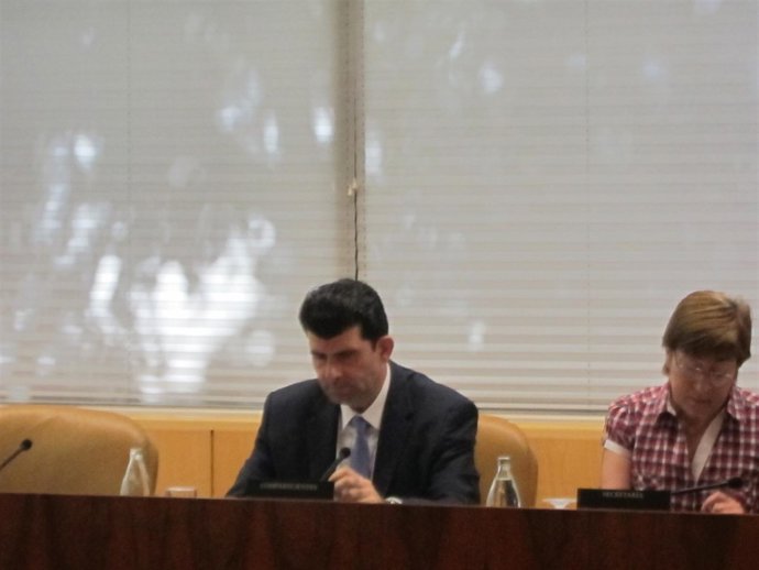 Presidente De FMM En Comisión Parlamentaria