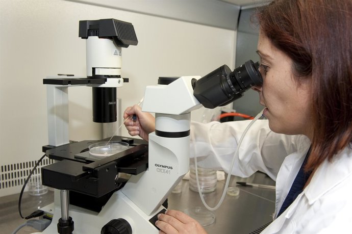 Una Investigadora Analiza Algas En El Banco Español De Algas