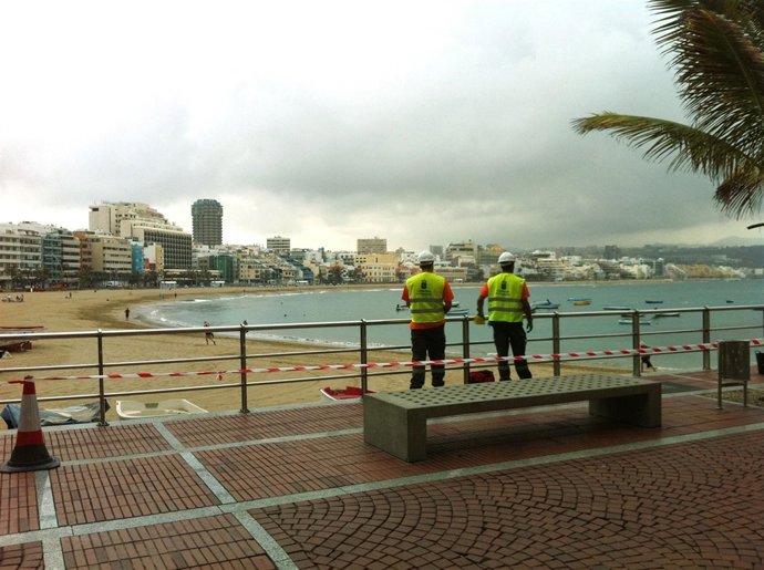 Miembros De Las Cuadrillas De Gesplan