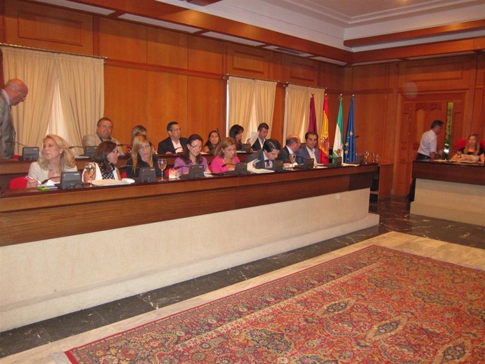 Pleno Ordinario Del Ayuntamiento De Córdoba