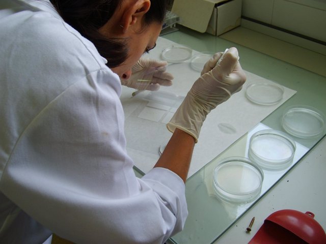 Una investigadora en un laboratorio