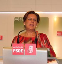 PSOE-A dice que están preparados para "dar lo mejor" y recuerda que tienen "amplia experiencia" en campañas electorales