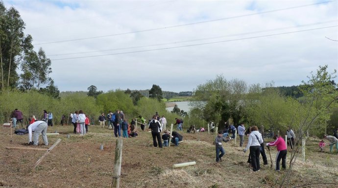 Grupo Plantando Árboles